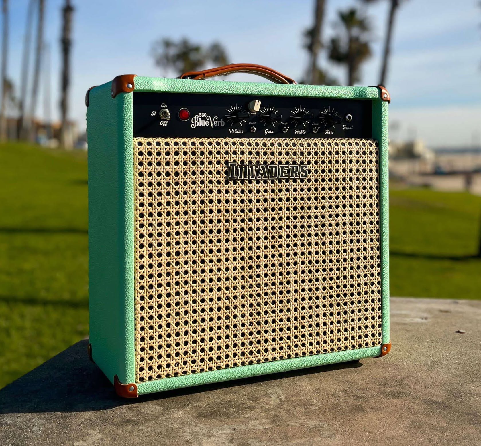 B-stock : 530 BlueVerb Combo Reverb – Surf Green